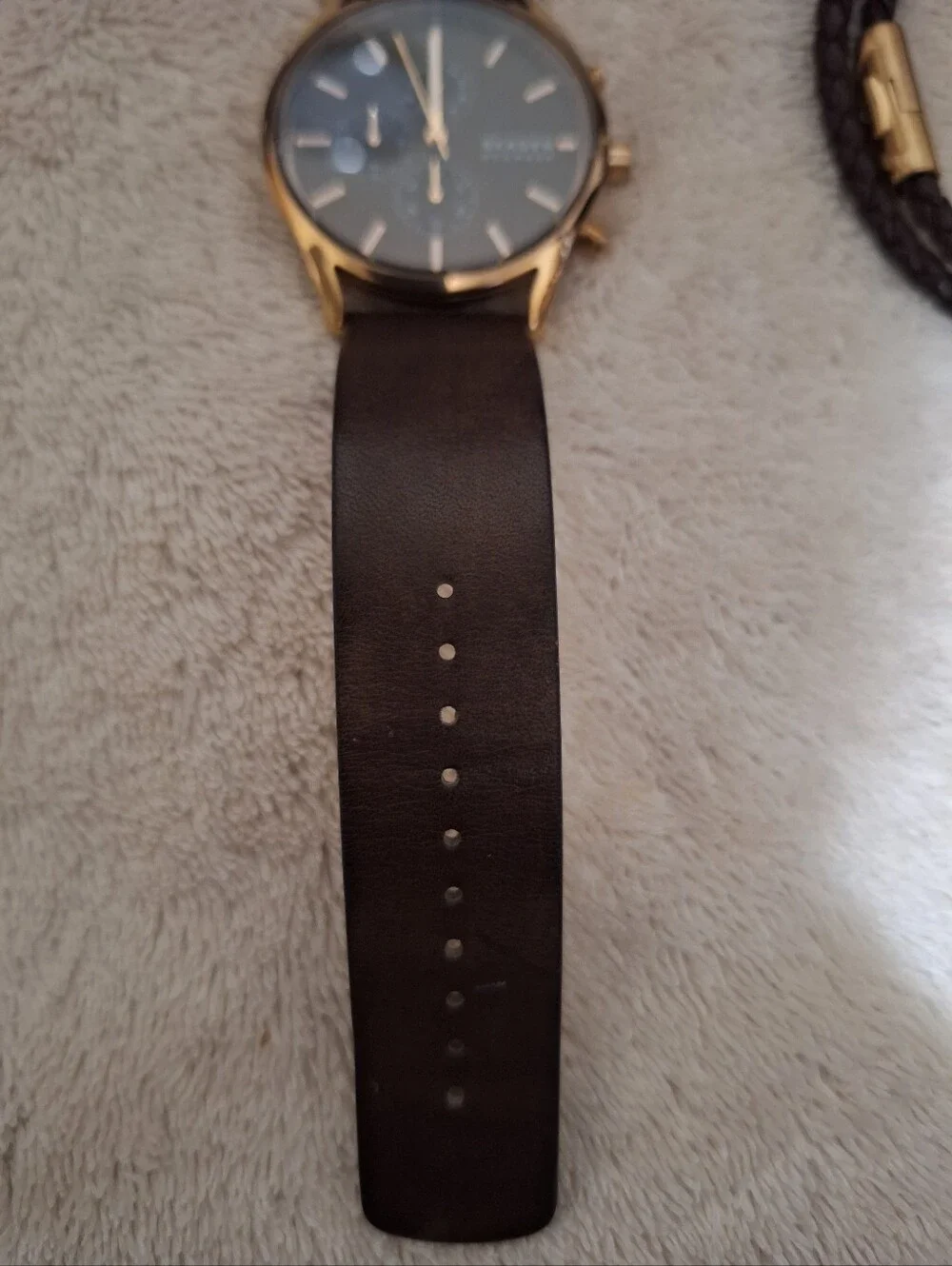 Mens Skagen Denmark Watch Rose Gold/ Burgundy